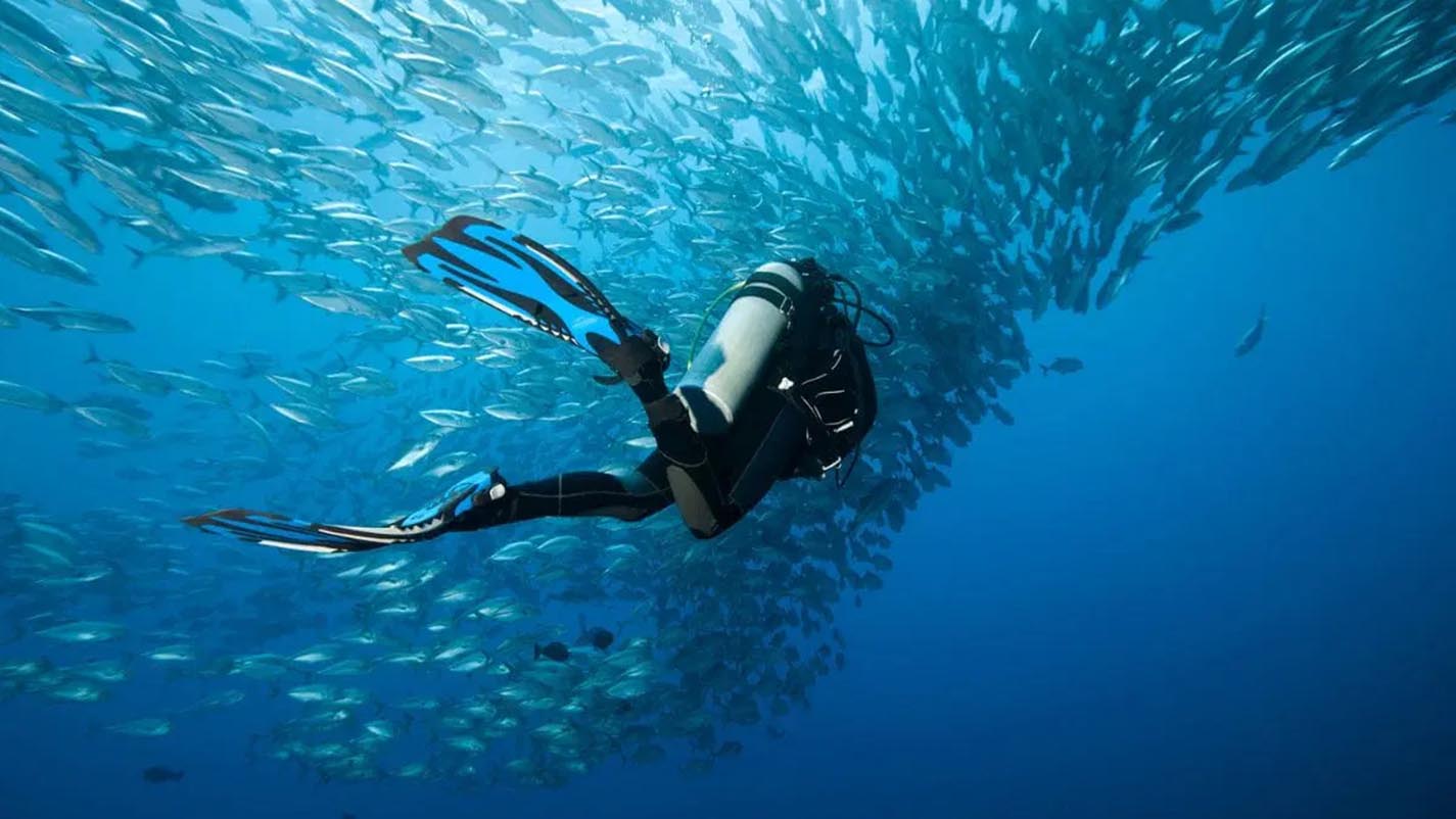 Maldives: A Diver’s Paradise – Top Snorkeling and Scuba Diving Spots